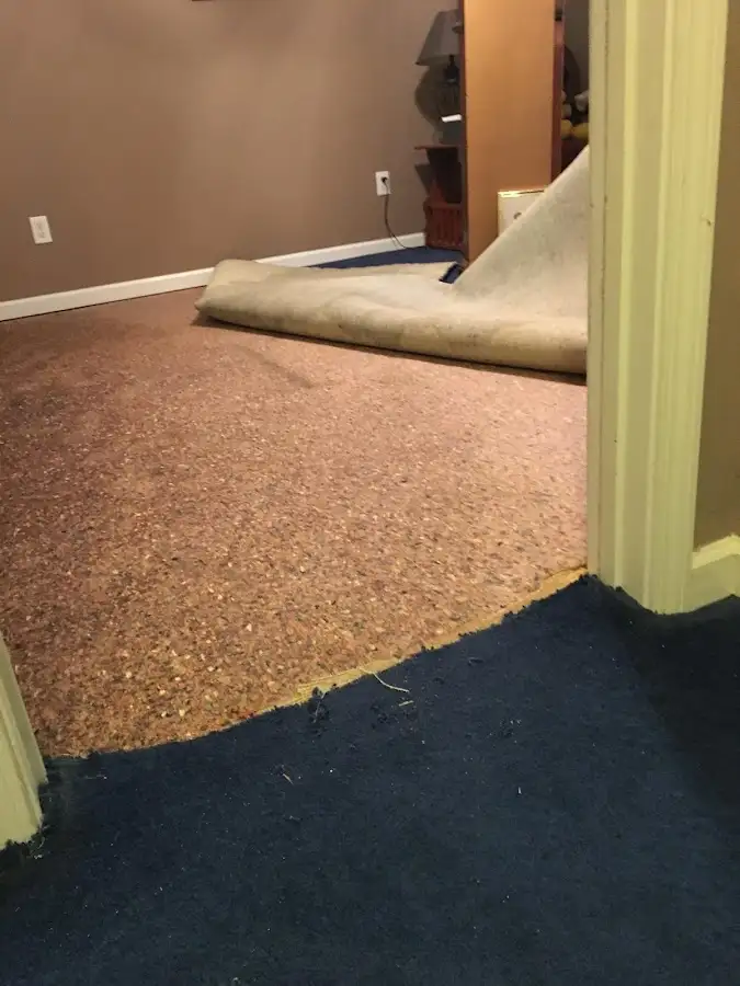 Carpet pad removal revealing water damage during Drying & Dehumidification in Ocoee