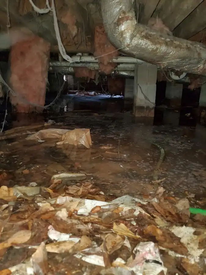 Crawl space flood assessment for Commercial Water Damage Restoration in Ocoee